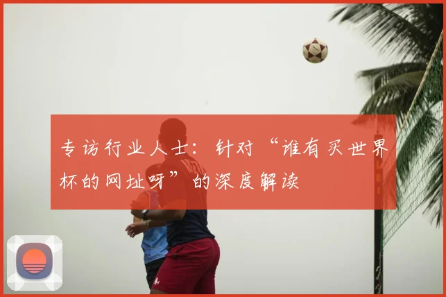 专访行业人士:针对“谁有买世界杯的网址呀”的深度解读