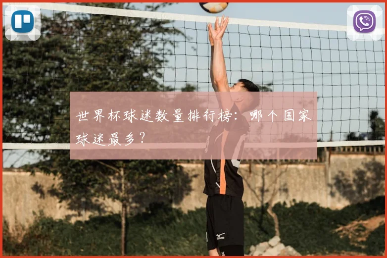 世界杯球迷数量排行榜：哪个国家球迷最多？
