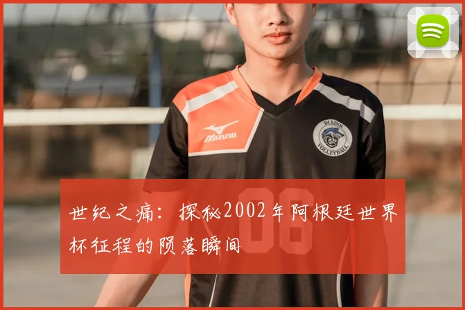 世纪之痛:探秘2002年阿根廷世界杯征程的陨落瞬间