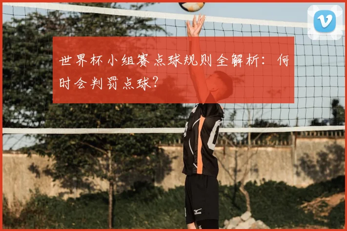 世界杯小组赛点球规则全解析:何时会判罚点球?