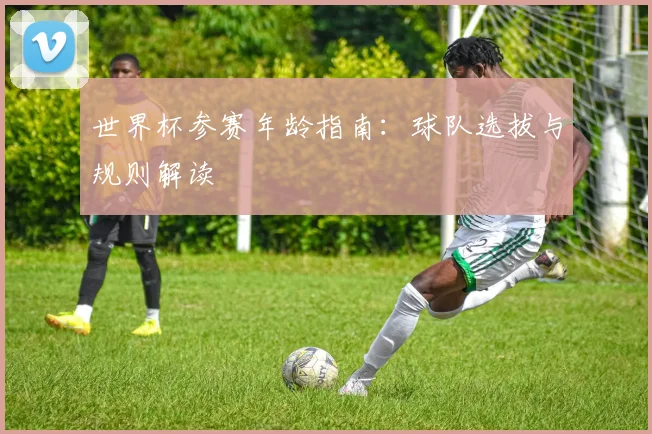 世界杯参赛年龄指南:球队选拔与规则解读