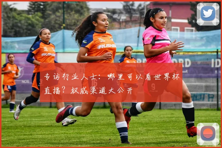 专访行业人士:哪里可以看世界杯直播?权威渠道大公开