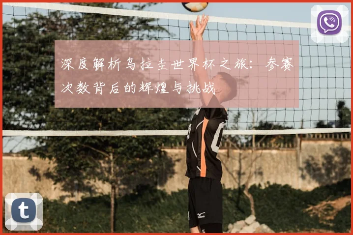 深度解析乌拉圭世界杯之旅：参赛次数背后的辉煌与挑战