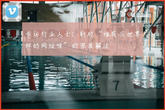 专访行业人士:针对“谁有买世界杯的网址呀”的深度解读