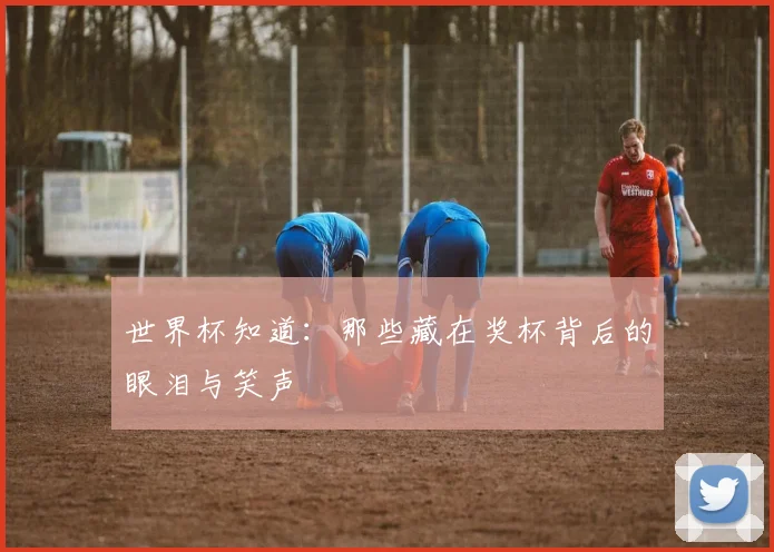 世界杯知道：那些藏在奖杯背后的眼泪与笑声